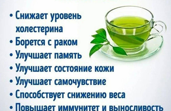 Полезные свойства зеленого чая для здоровья