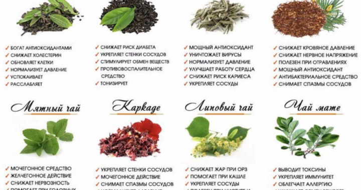 Полезные свойства чая для здоровья