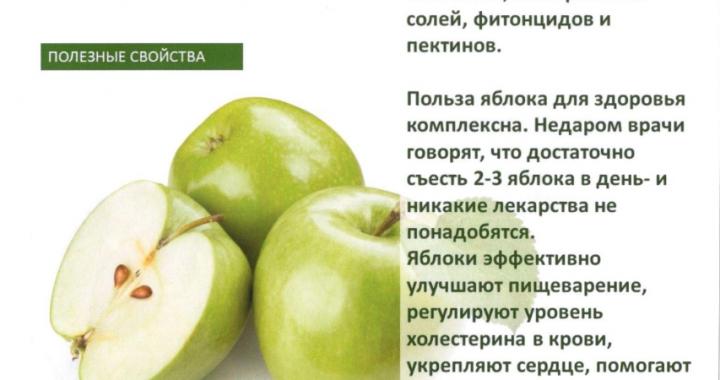Полезные свойства яблок для здоровья и линии жизни